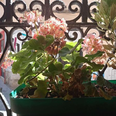 Apartamento Lavapies Al Lado Del Rastro Madrid Ngoại thất bức ảnh