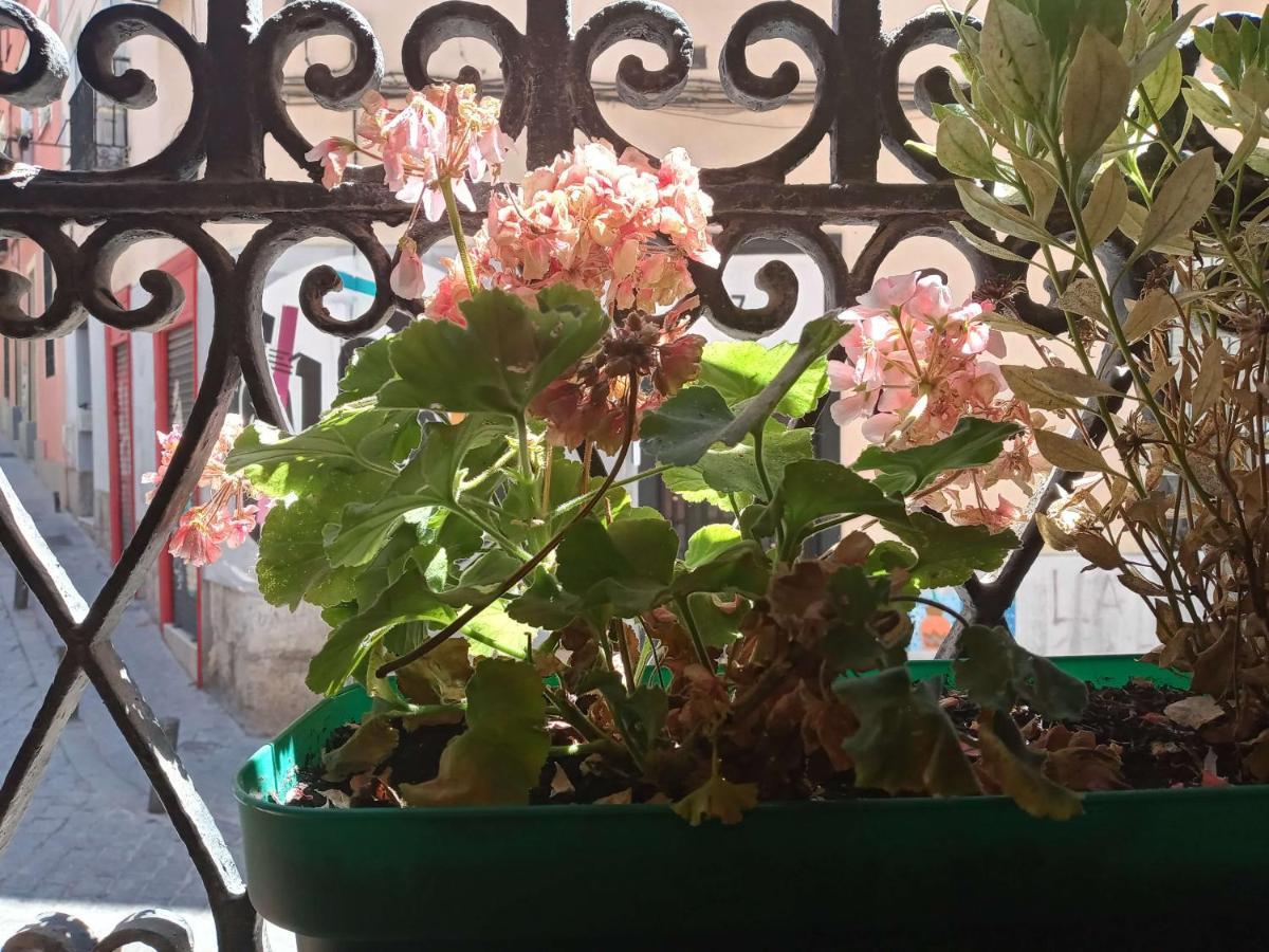 Apartamento Lavapies Al Lado Del Rastro Madrid Ngoại thất bức ảnh