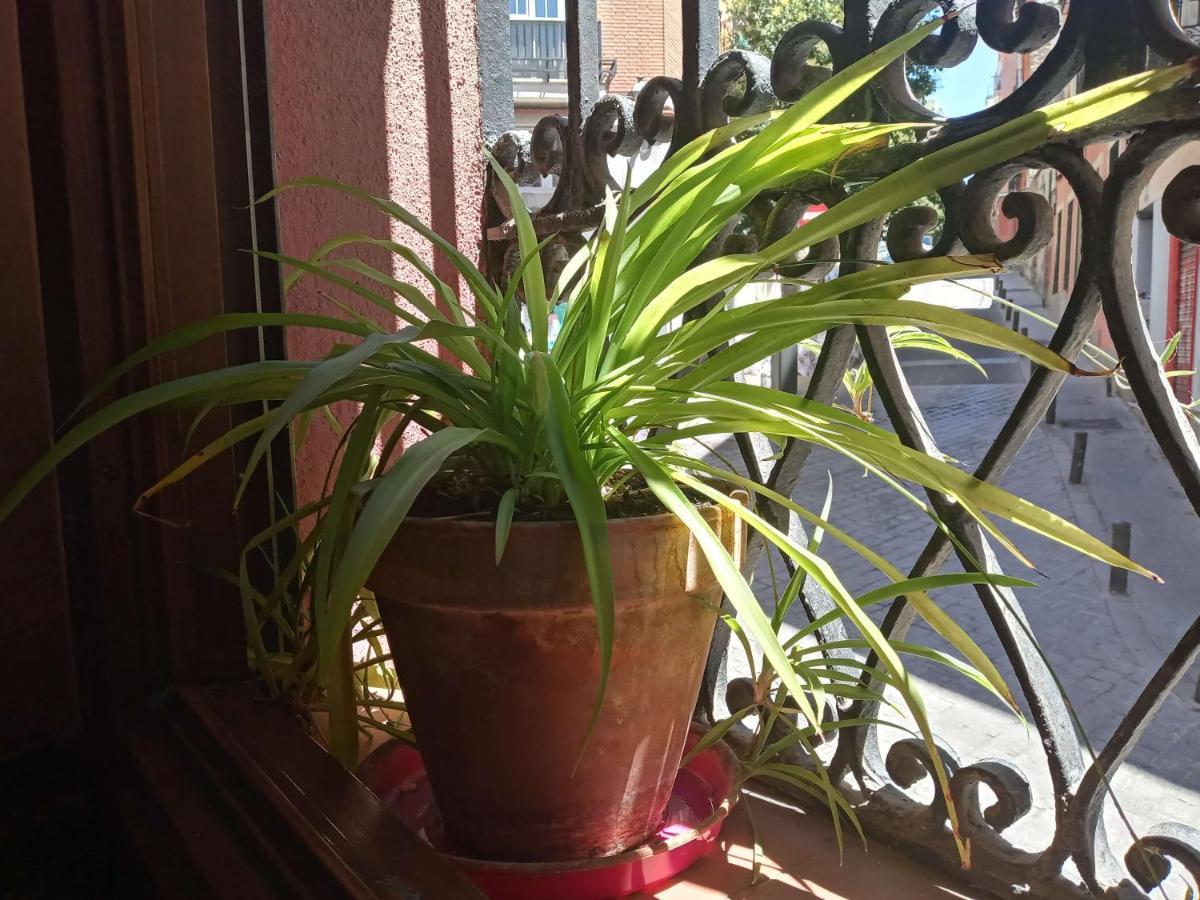 Apartamento Lavapies Al Lado Del Rastro Madrid Ngoại thất bức ảnh